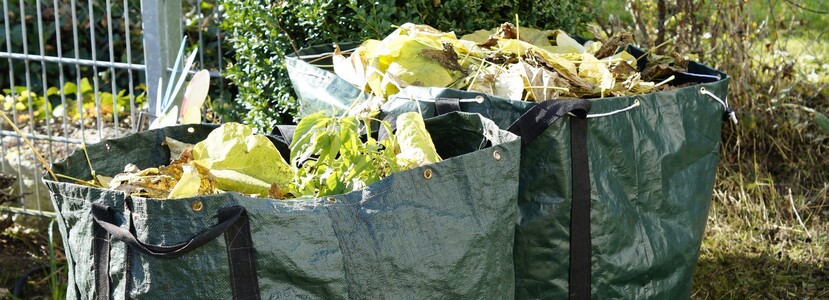Lire la suite à propos de l’article Les déchets verts : pratiques à bannir et solutions Ecodrop !